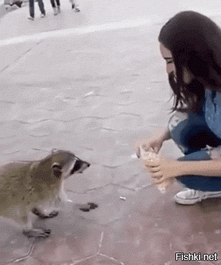 И просто чтобы показать что твоя работа не является чем-то из ряда вон выходящих - вот тебе 15 оригинальных гифок: