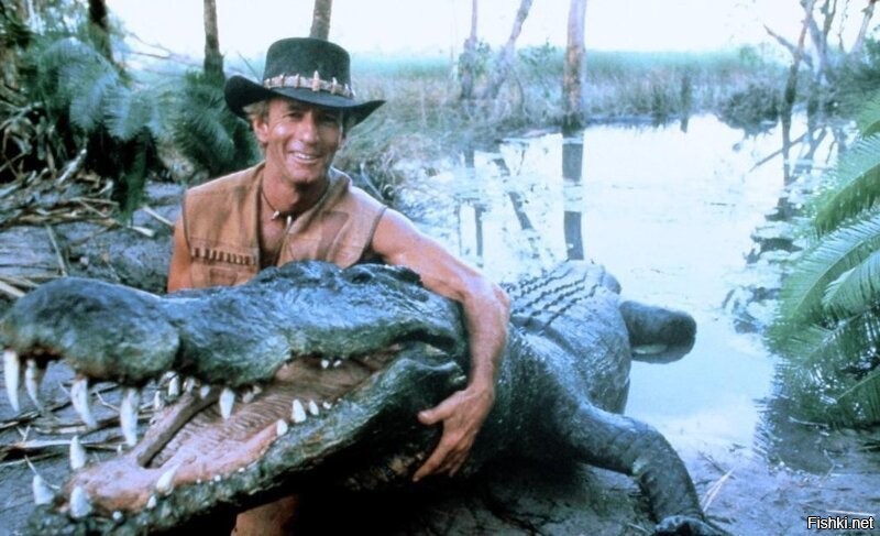 Фауст и Джойнер не знали, что там водятся крокодилы...
Сцуко, даже малые дети в России знают, что ТАМ ВОДЯТСЯ КРОКОДИЛЫ.
Потому что это - АВСТРАЛИЯ.
Они по ходу плохо изучали фильм "Данди по прозвищу Крокодил" :)
