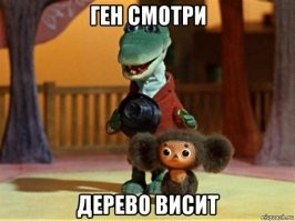 Австралийские рыбаки нашли голого беглеца в мангровых зарослях, кишащих крокодилами