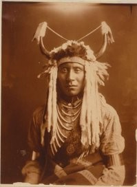 С какого перепугу мужик в Капитолии в рогатой шапке викинг?