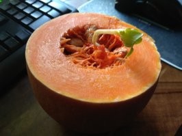 А это я тыкву разрезал ...