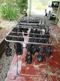 Заготовки на 2021 год