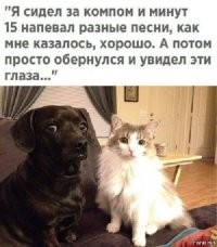 Пост о дружбе