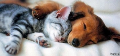 Пост о дружбе