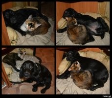 Пост о дружбе