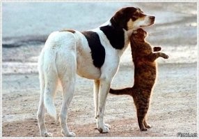 Пост о дружбе