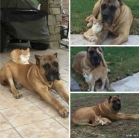 Пост о дружбе