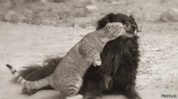 Пост о дружбе