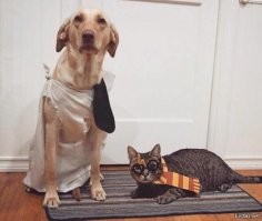 Пост о дружбе