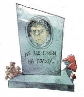 Грибы съедобны все. 
Некоторые всего один раз.