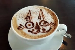 Методы варки кофе: научный взгляд