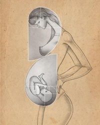 С золотым сечением шикарная работа.