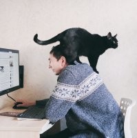 Наши тоже любят наши плечи оккупировать :)