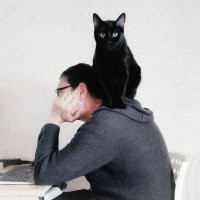 Наши тоже любят наши плечи оккупировать :)