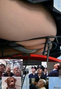 Фотоподборка