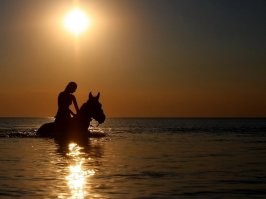 Ну если уж опередили с уходящими к восходящему солнцу неуловимыми, то выложу  то, где прекрасно всё: