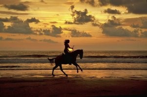 Ну если уж опередили с уходящими к восходящему солнцу неуловимыми, то выложу  то, где прекрасно всё: