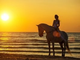 Ну если уж опередили с уходящими к восходящему солнцу неуловимыми, то выложу  то, где прекрасно всё: