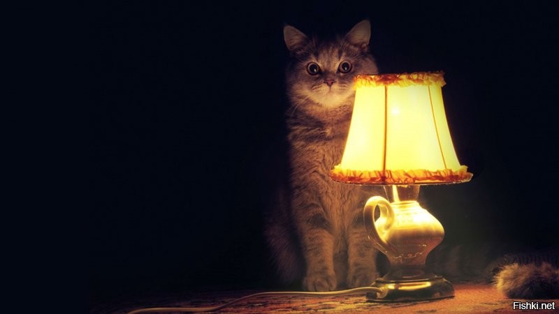 Мы с котом тебя послушаем.