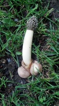 26 самых необычных и ярких представителей правящей элиты нашей планеты