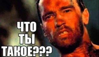 15 известнейших мемов с неизвестными героями: кто они