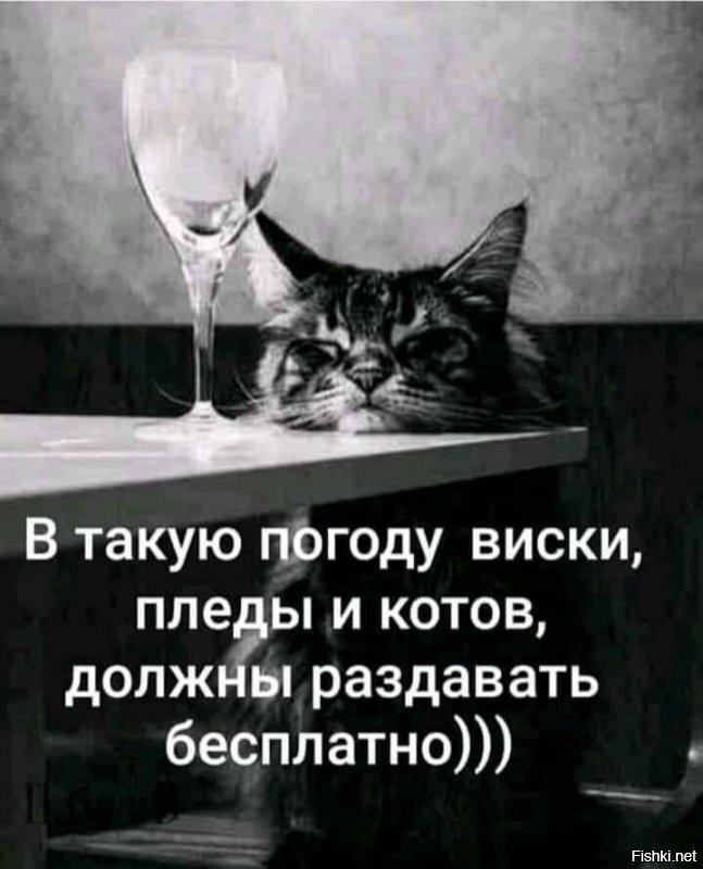 Солянка от 09.01.2021
