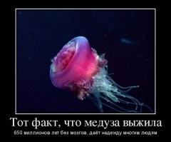 Вдохновляющие достижения: 25 кратких, но познавательных фактов