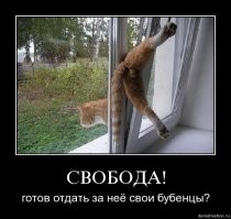 «А девушка созрела…» (с)