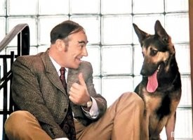 Сейчас всё, что украли спишут на аварию, вот увидите.