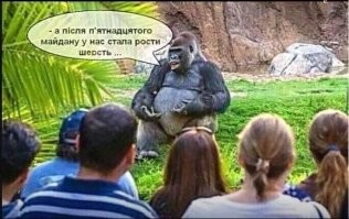 100 000 охранников и бег «в стиле Клинта Иствуда». Как охраняют Ким Чен Ына