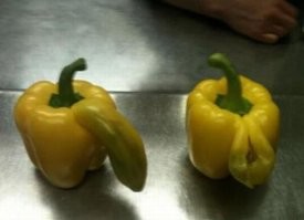 Семья перцев.