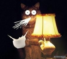 Какая изобретательная девочка... За два дня кровать сломала