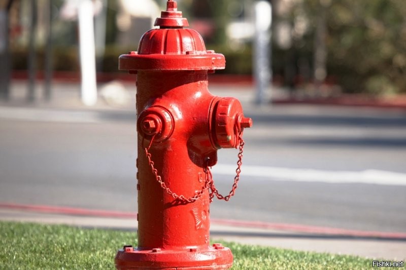 За пожарников сейчас минусов накидают профессиональные пожарные. И на Вашей картинке это не гидрант, а пожарная колонка. А вот это наземный пожарный гидрант.