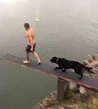Вот за что я люблю собак! Вода/высота - пофигу, главное - за хозяином!