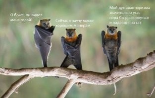 15 идеально синхронизированных фотографий, на которые стоит взглянуть 