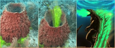 Ага, льют химию всякую, а потом удивляются, чего это у них Годзиллы всякие, из моря лезут!