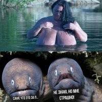 Сколько вольт выдает электрический угрь?