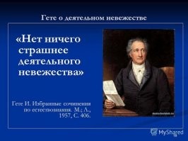 Американский учитель счел "Одиссею" Гомера дискриминационной и убрал ее из программы