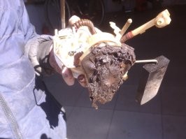 Почему то обычно постят с зарубежных сайтов. У нас совсем другие менталитеты. Работаю 20 лет  в сервисе, тоже коплю приколы, правда в местной группе. Сейчас скину несколько эпизодов))