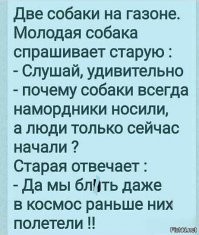 Фотоподборка