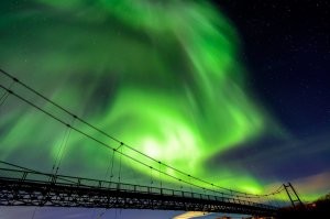 Уж сколько насмотрелся на сияние в Воркуте, но никогда не слышал, чтобы его называли Авророй.