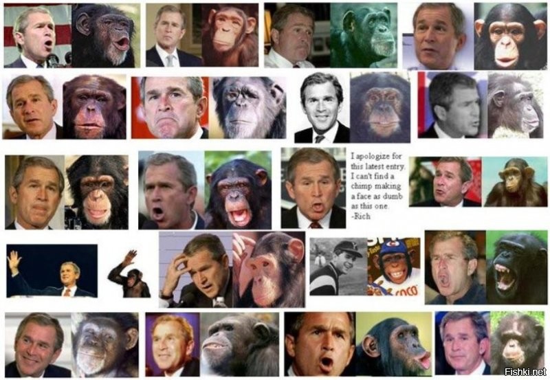 Вот ведь любят же американцы животных. В 2000 они даже выбрали себе президента-примата.