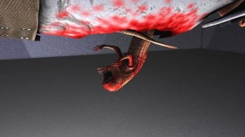 Ночной кошмар владельца натяжного потолка