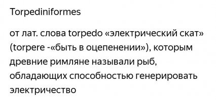 Сколько вольт выдает электрический угрь?