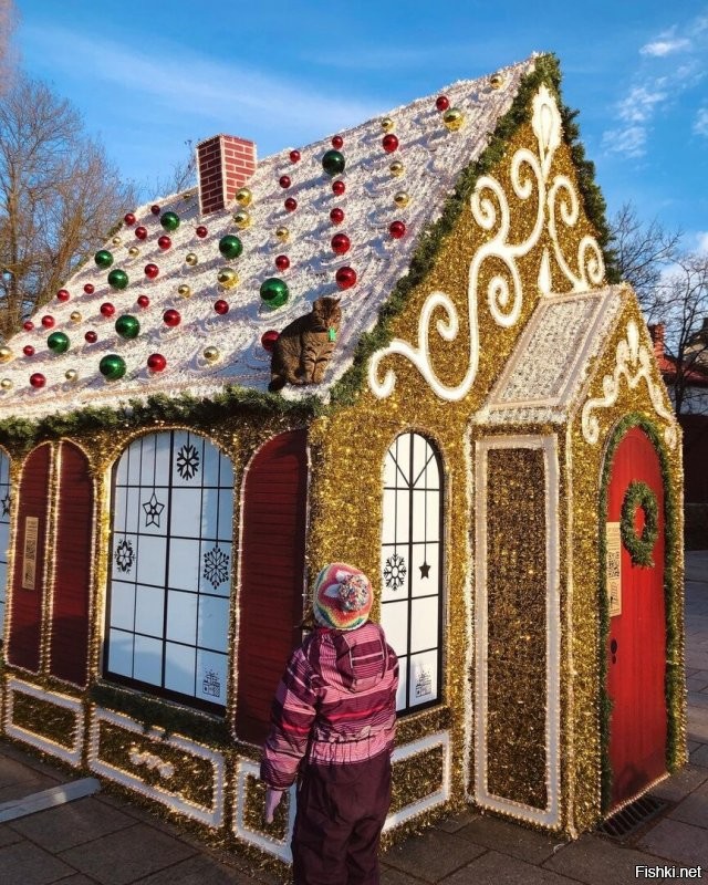 Не бульвар, а проспект. И да, у нас коты на особом положении. Есть и домики. Причём не только официальные у котофейни. Есть котошеф. И много граффити на тему. И самое главное новогодний кот на пряничном домике. )))))