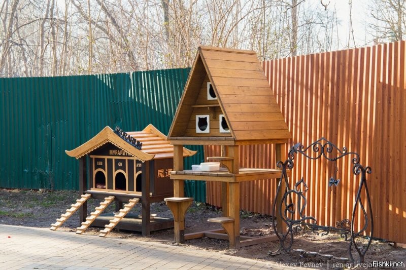 Не бульвар, а проспект. И да, у нас коты на особом положении. Есть и домики. Причём не только официальные у котофейни. Есть котошеф. И много граффити на тему. И самое главное новогодний кот на пряничном домике. )))))