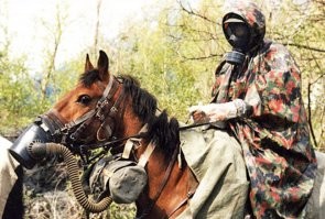 Собаки в противогазах