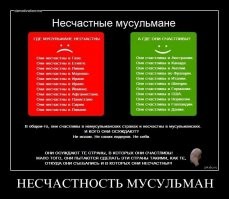 Не нравится Британия, Махмуд? Песдуй в свою муслимию и там хоть с конем епись