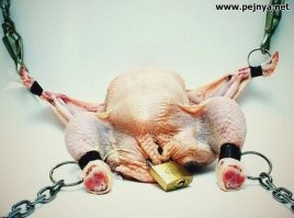 Не ищите здесь смысл. Здесь в основном маразм