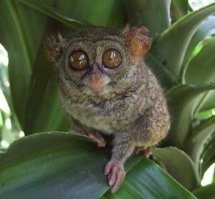 Смешные и познавательные картинки